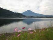 Mount Fuji reflected in Lake Kawaguchi