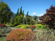 Gardens on the north shore of Lake Kawaguchi