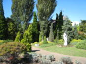 Gardens on the north shore of Lake Kawaguchi