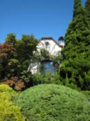 Gardens on the north shore of Lake Kawaguchi