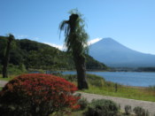 Gardens on the north shore of Lake Kawaguchi