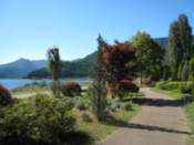 Gardens on the north shore of Lake Kawaguchi