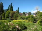 Gardens on the north shore of Lake Kawaguchi