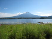 Mount Fuji, flowers and Lake Kawaguchi
