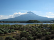 Botanical garden on the shore of Lake Kawaguchi