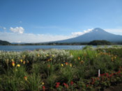 Botanical garden on the shore of Lake Kawaguchi
