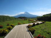 Botanical garden on the shore of Lake Kawaguchi
