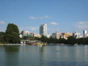 Lake in Ueno Park