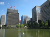 City-center buildings