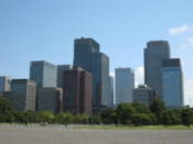 A whole collection of sky scrapers