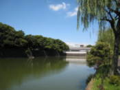 Approaching the Imperial Palace east gardens