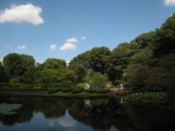 In the Imperial Palace East Gardens