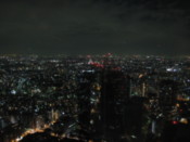 Night view from Tokyo Metropolitan Government Offices building