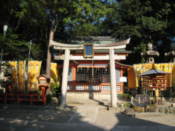 In the grounds of the Yasaka-Jinja Shrine