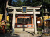 In the grounds of the Yasaka-Jinja Shrine