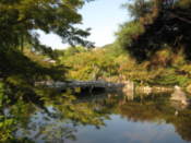 Maruyama Park