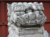 Lion statue at Senso Temple
