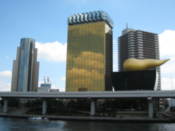 A beer company building. Apparently, they paid the architects in beer...