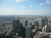 View from Tokyo Metropolitan Government Offices building