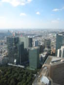 View from Tokyo Metropolitan Government Offices building
