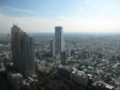 View from Tokyo Metropolitan Government Offices building