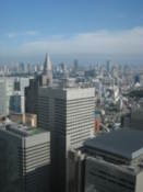 View from Tokyo Metropolitan Government Offices building