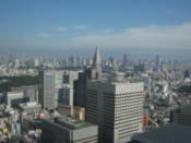 View from Tokyo Metropolitan Government Offices building