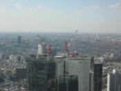 View from Tokyo Metropolitan Government Offices building