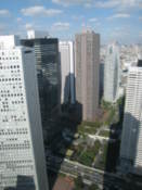 View from Tokyo Metropolitan Government Offices building