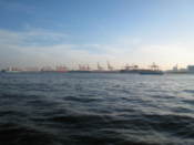 Cranes by the sea, seen from the bay area