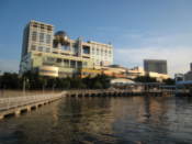 Buildings in the bay area