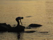 Fisherman