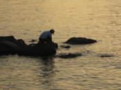 Fisherman