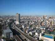 View over Tokyo