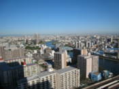 View over Tokyo