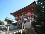 Another gate of the Fushimi-Inari shrine