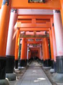 Torii at the Fushimi-Inari shrine