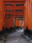Torii at the Fushimi-Inari shrine