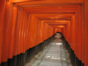 Torii at the Fushimi-Inari shrine