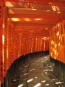 Torii at the Fushimi-Inari shrine