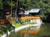 Pond in the grounds of the Fushimi-Inari shrine