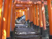 Torii at the Fushimi-Inari shrine