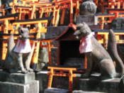 Small torii and foxes at Fushimi-Inari shrine