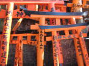 Small torii at Fushimi-Inari shrine