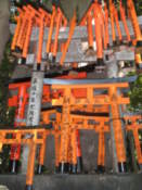 Small torii at Fushimi-Inari shrine