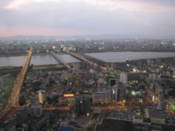 View from Umeda Sky Building
