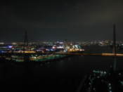 View from Giant Ferris Wheel