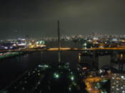 View from Giant Ferris Wheel