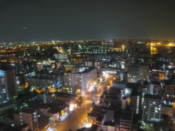 View from Giant Ferris Wheel