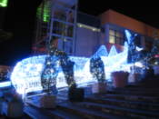 Outside the aquarium